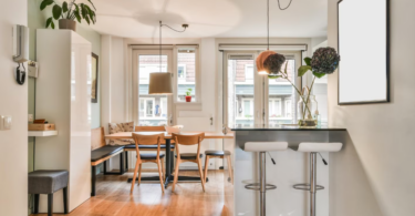 Nejčastější chyby při zakládání terária