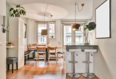 Nejčastější chyby při zakládání terária